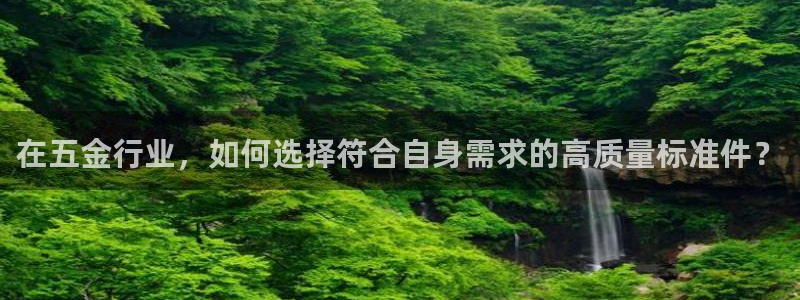 云顶国际商业广场可以充电动车吗