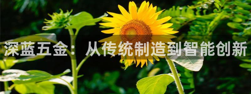 云顶国际是真实网站吗?