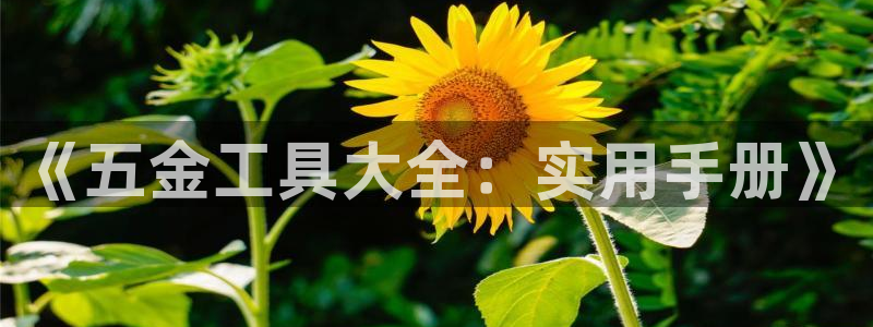 云顶国际投资有限公司