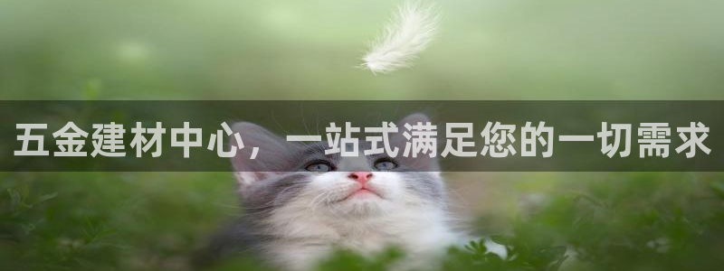 官方云顶国际网站下载