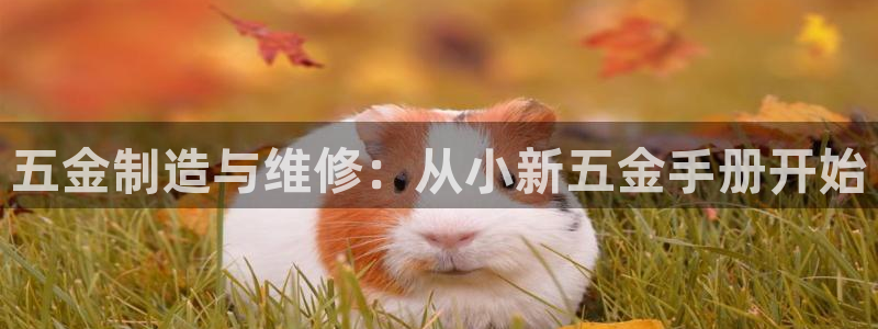 云顶国际服什么时候更新s10.5