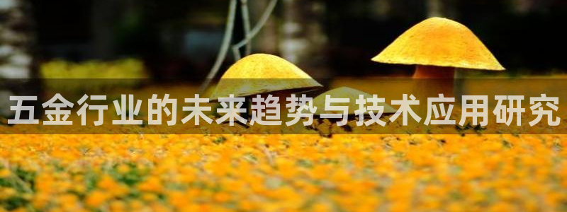 云顶国际酒店老板是哪里人
