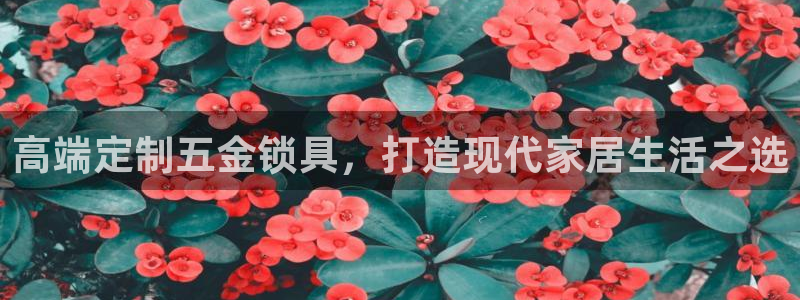 云顶国际服s9更新时间