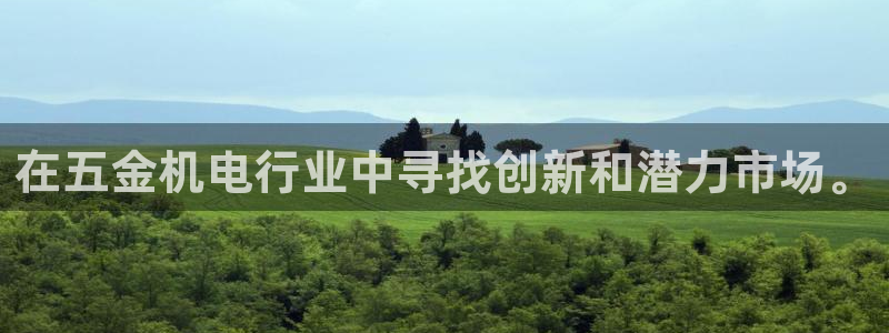 云顶dl