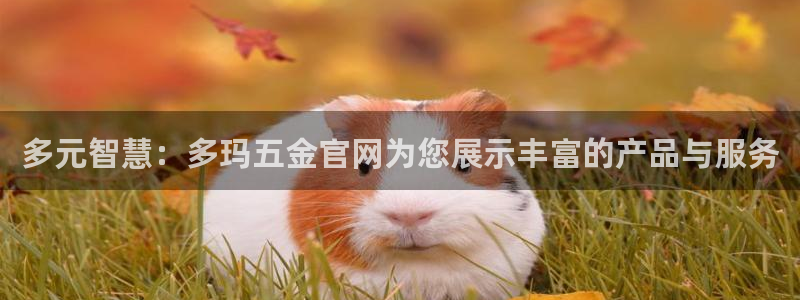 云顶集团中国区