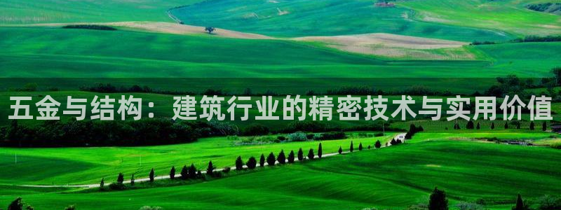 云顶集团最新官方网站入口