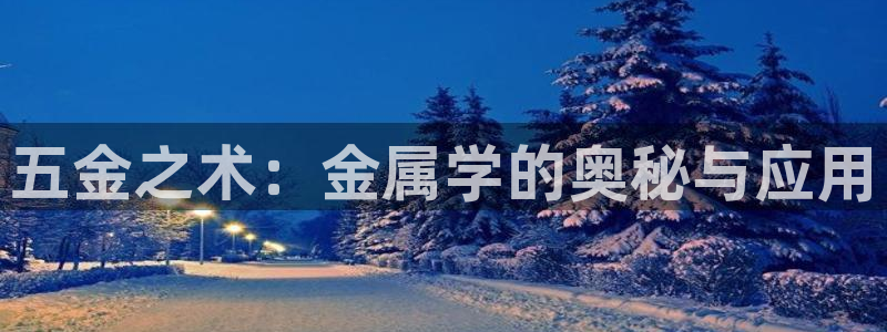 云顶国际版