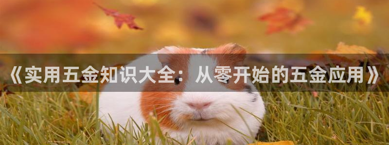 云顶集团有限公司简介概况