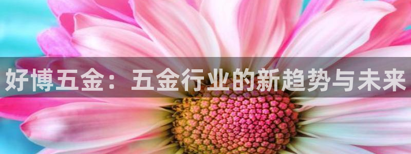 云顶国际官网唯一官方网站下载