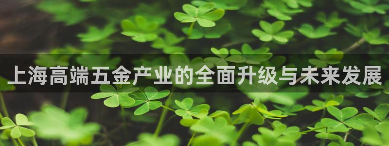 云顶网站网址
