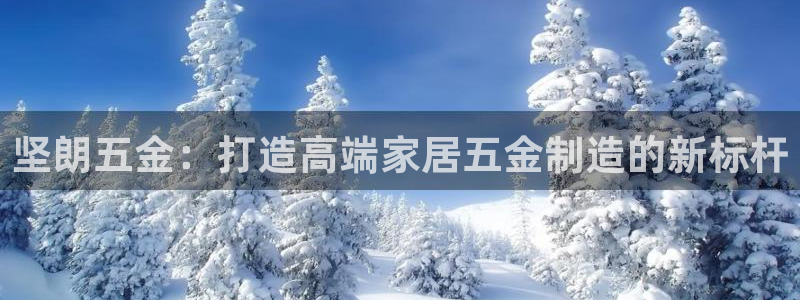 云顶国际黑网不出款