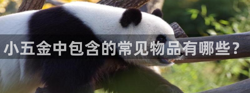 云顶国际服怎么下载