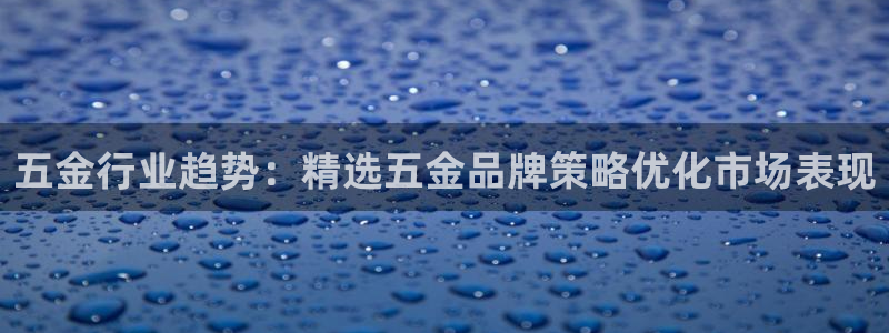 云顶国际物流