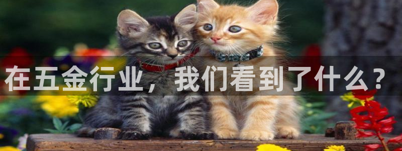 云顶国际二手房价格
