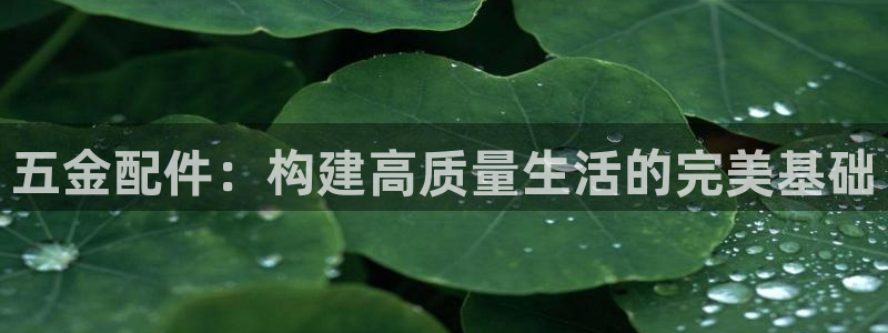 552211云顶网站