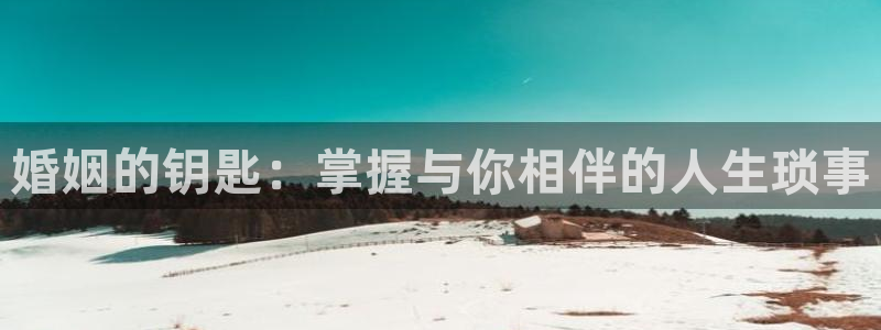 云顶国际是做什么的公司