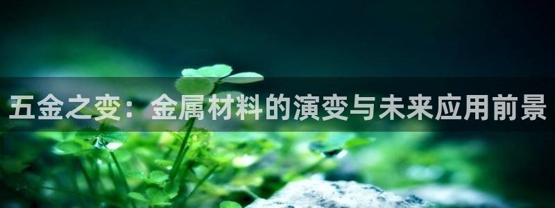 云顶国际期临沭在哪