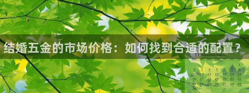 云顶国际商业广场a座101层