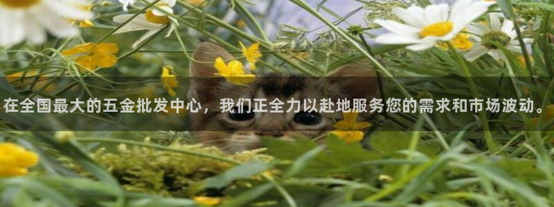 云顶国际app官方下载安装手机版