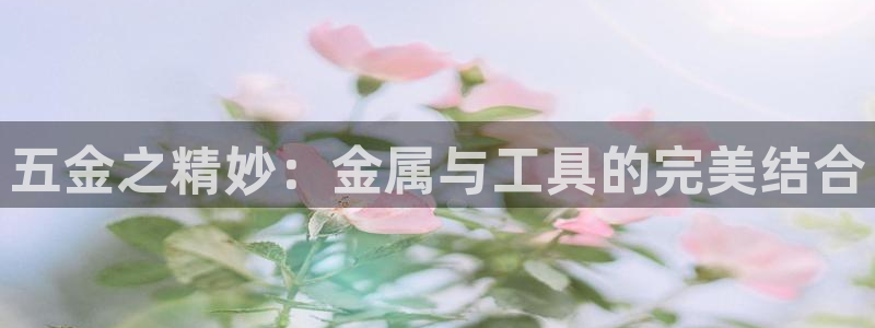 云顶国际服名字不可用