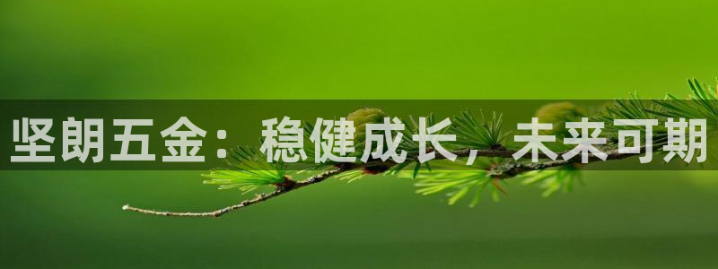 云顶集团有限公司简介电话