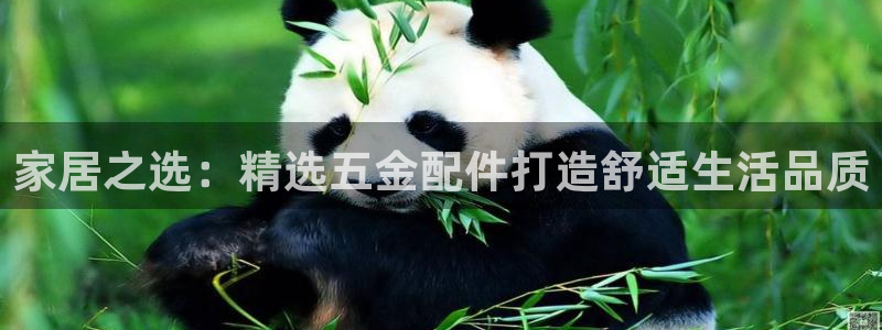 云顶集团是哪个国家的