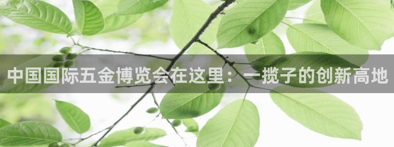 云顶zhi