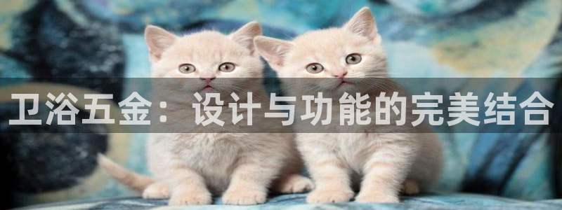 云顶国际区块链怎么样