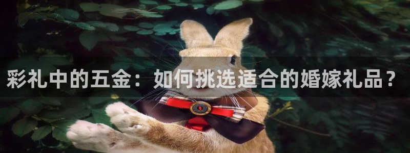 云顶国际服什么时候更新s119