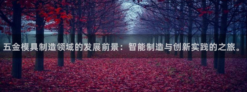 云顶国际集团 深圳