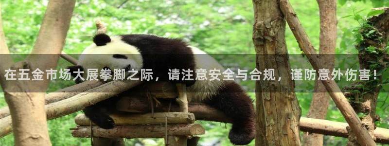 云顶国际app怎么样可靠吗