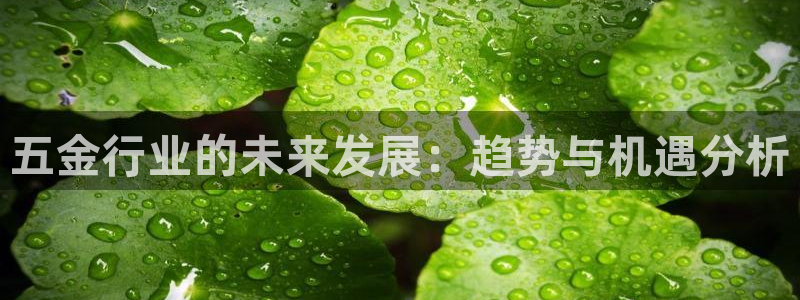云顶官方下载
