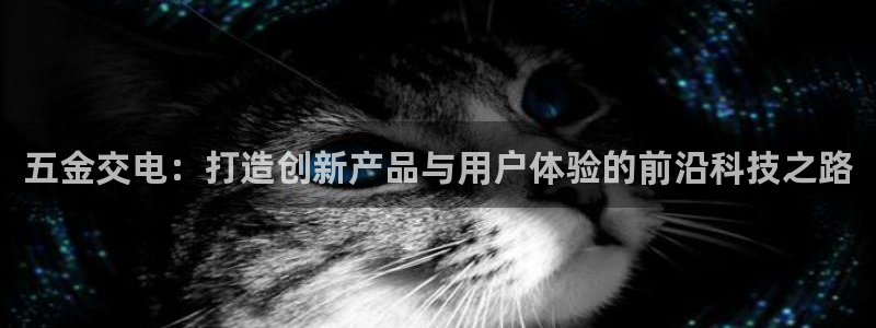 云顶国际旅行社