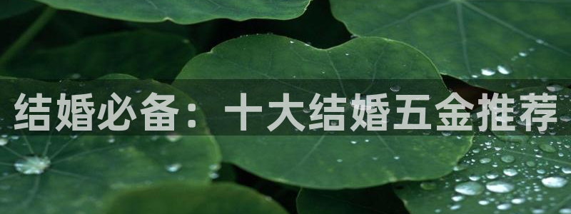 云顶国际太原
