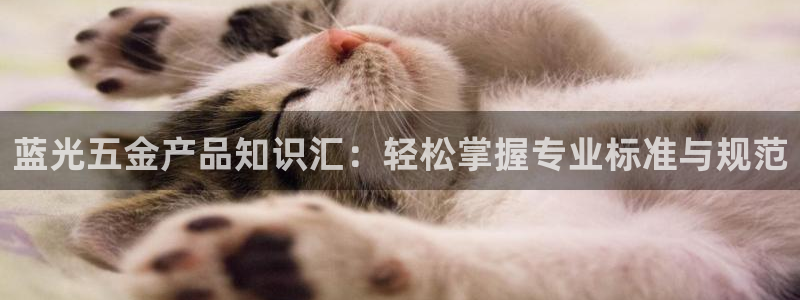 云顶国际官网官方客服