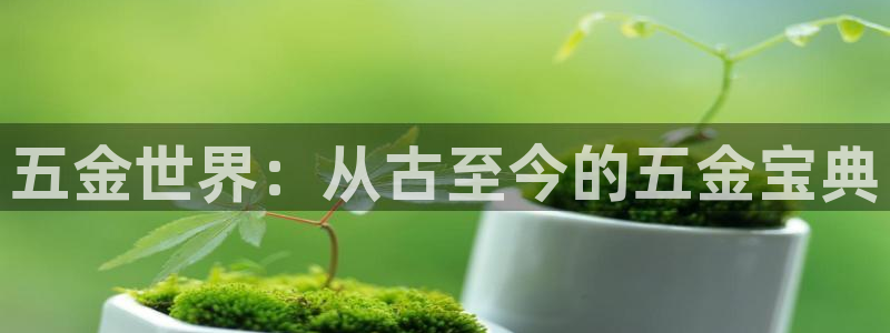 云顶国际培训中心