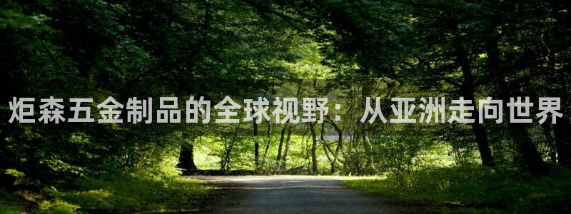 云顶国际服手游