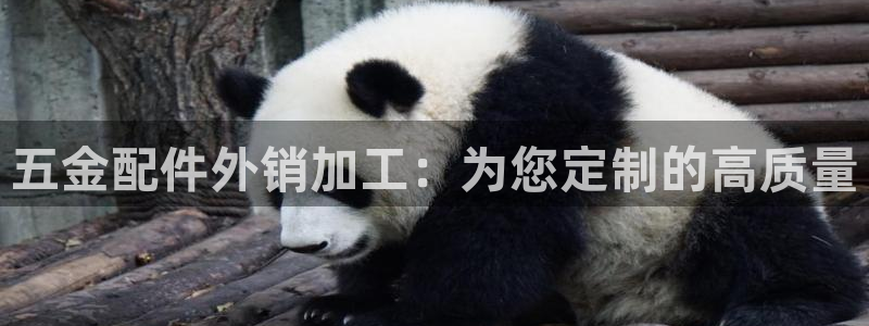 云顶国际老板是谁啊