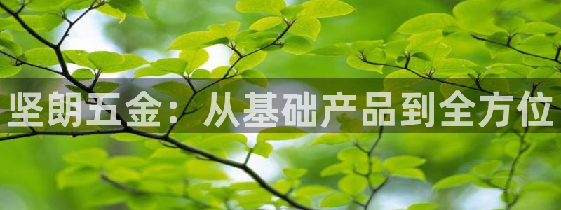 云顶集团简介资料