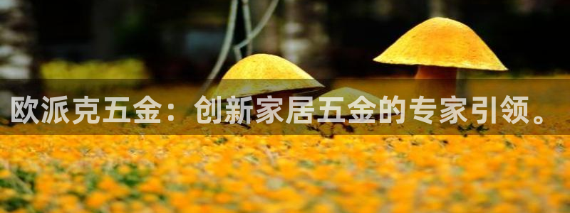 云顶集团游戏网站