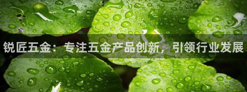 云顶国际酒店老板是谁