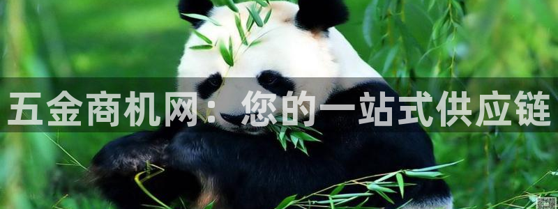 云顶国际网站打不开