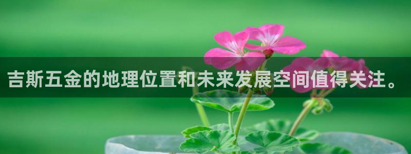 云顶国际电子游戏