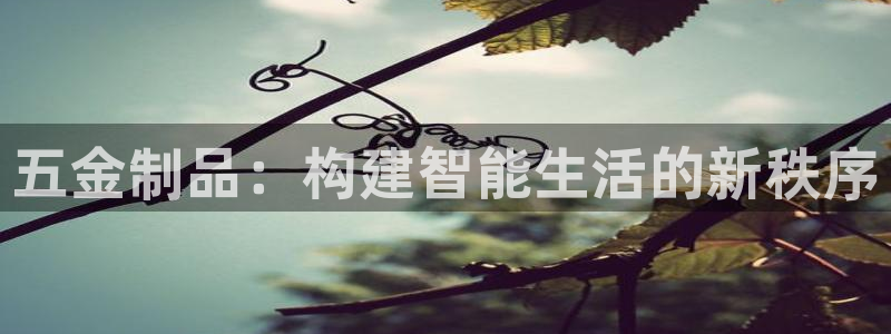 云顶国际高中学费多少