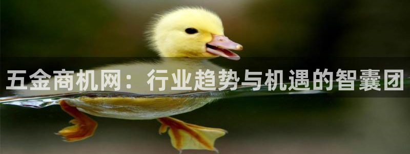 云顶国际宴会中心在哪里