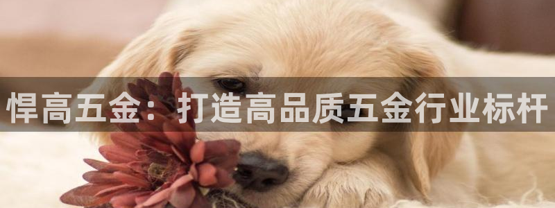 云顶国际大酒店位于哪个街道