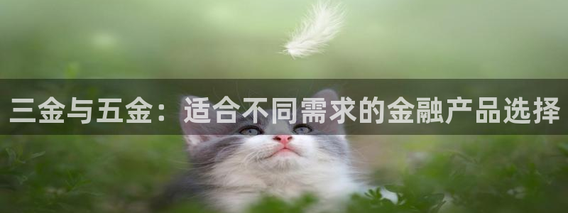 云顶国际网站是多少