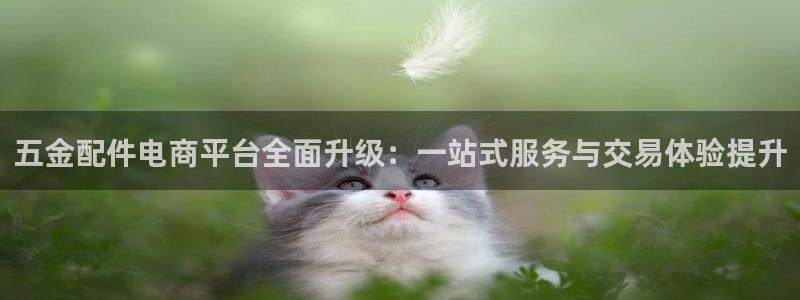 云顶集团welcome官网