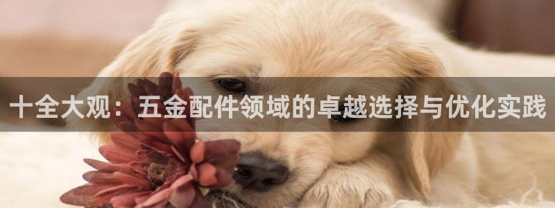 云顶国际商业广场怎么样