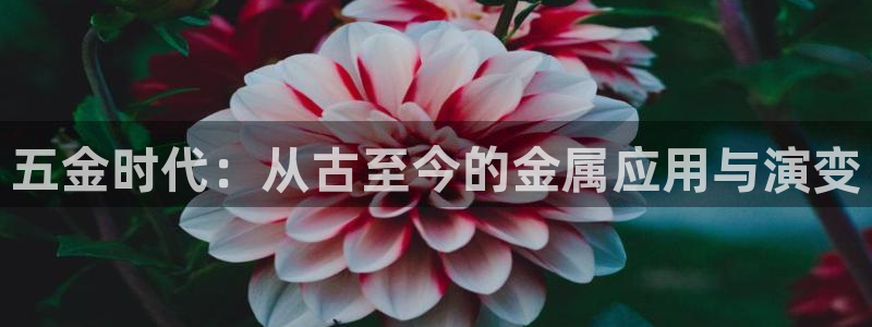 云顶国际下载